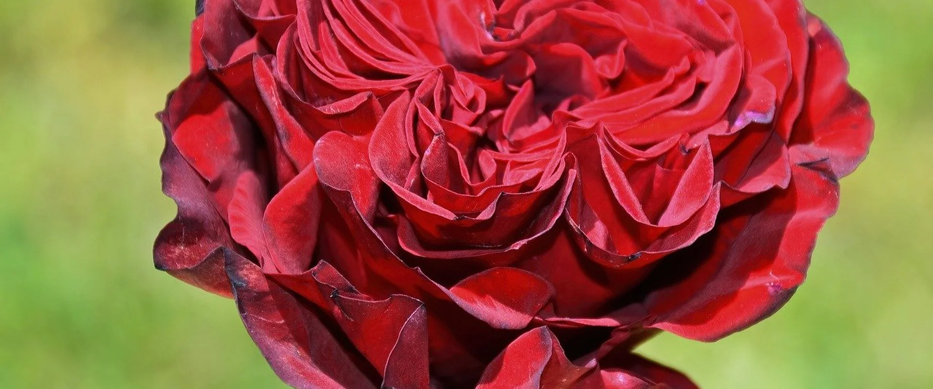 菠菜论坛PG电子